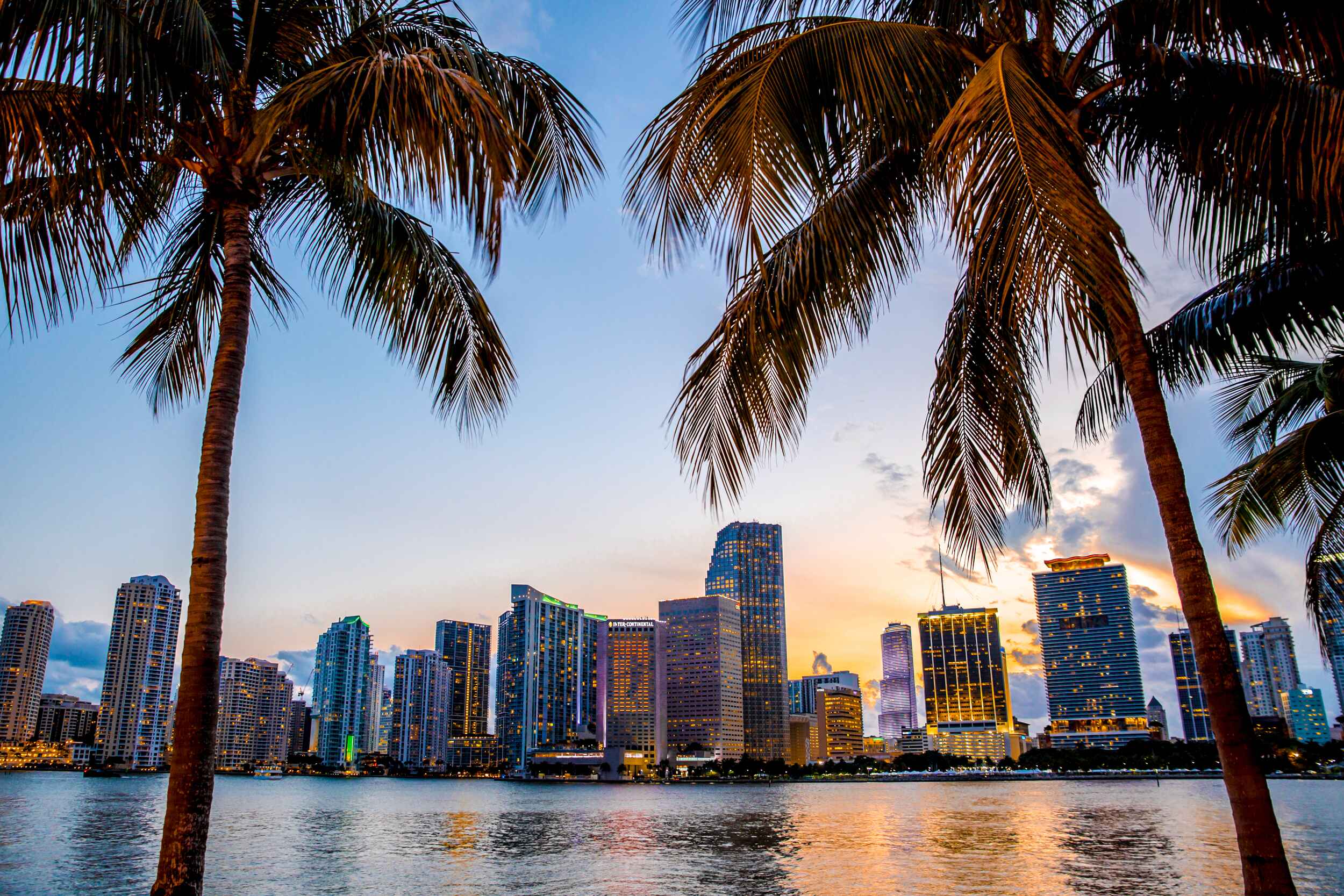 Downtown Miami on the water with palm trees